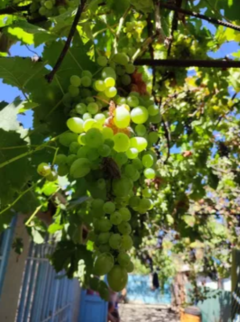 Продаж Будинок 3-кімнатний на ул. Мирна, 42 Удобне - изображение 10