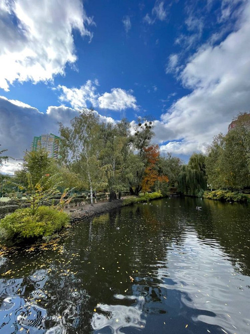 Продаж Квартира 3-кімнатна, 10/25 поверх на Вишгородська вул., д. 45 Київ - фото 18