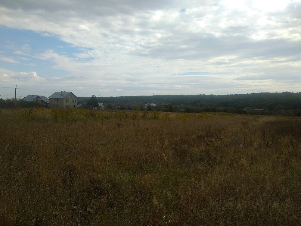 Продаж земельної ділянки 41.6 соток Pavlivka - photo 3