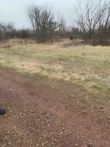 Продажа земельного участка  площадь 25 сот Польова вулиця  - изображение 2