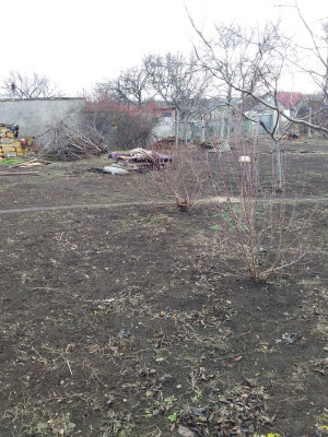 Продаж земельної ділянки 0.1 соток на ул. Киевская, 57 Дачне - фото 7