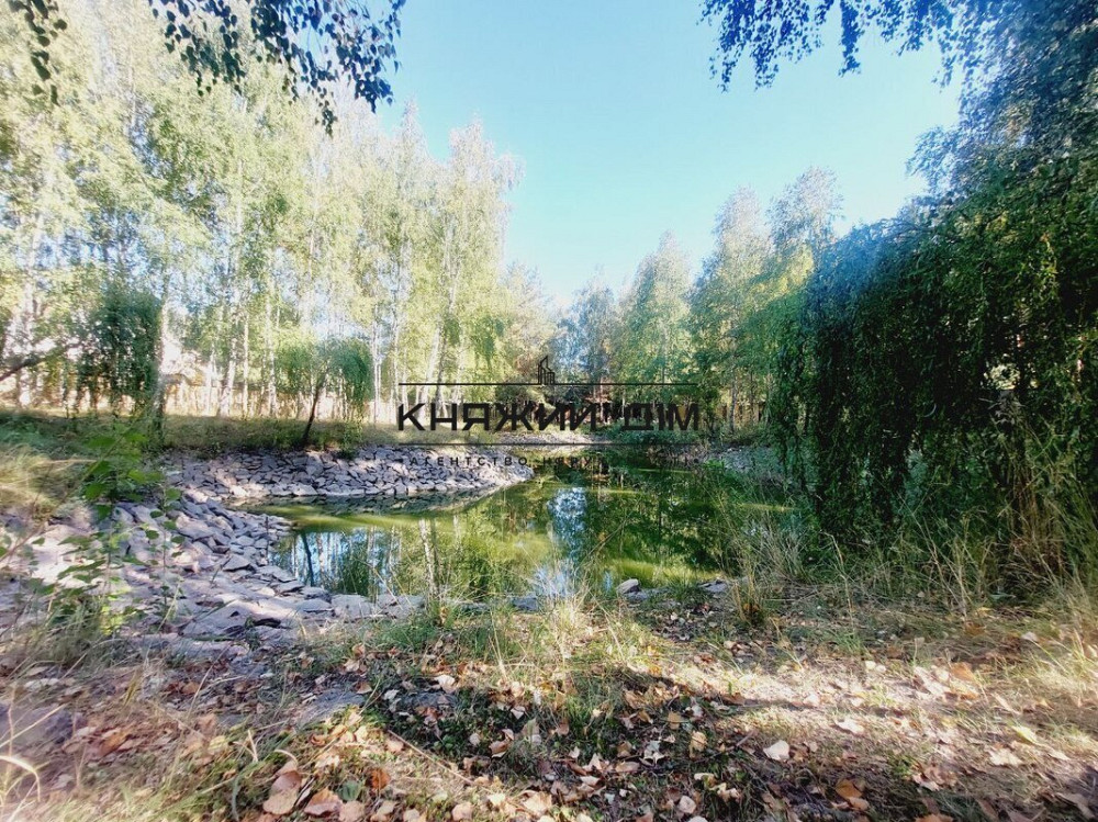 Без комісії .Є Генератор .Оренда, будинок в Колонщині . Код Об'єкта 135973 Колонщина - фото 16