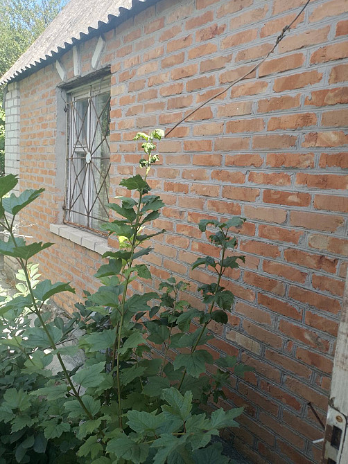 Предлагается к продаже дом в Нерубайском (НАТИ) Нерубайське - фото 2