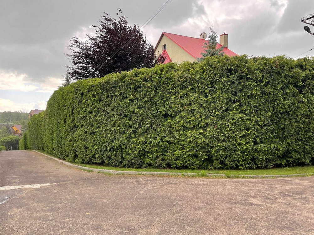 Продаж Квартира на улица Наварія - фото 11