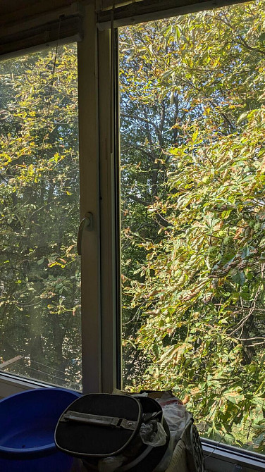 Оренда Квартира 1-кімнатна, 5/5 поверх Kiev - photo 1