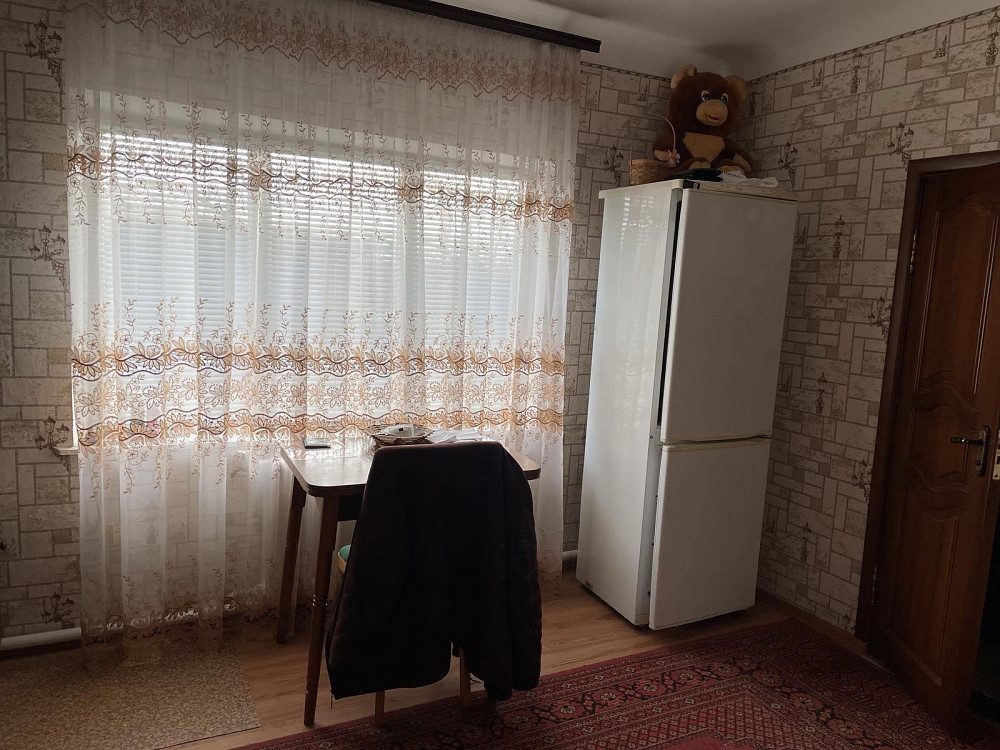 Продам дом село Троицкое Беляевский район Одесская область Новотроїцьке (Любашівський район) - фото 11