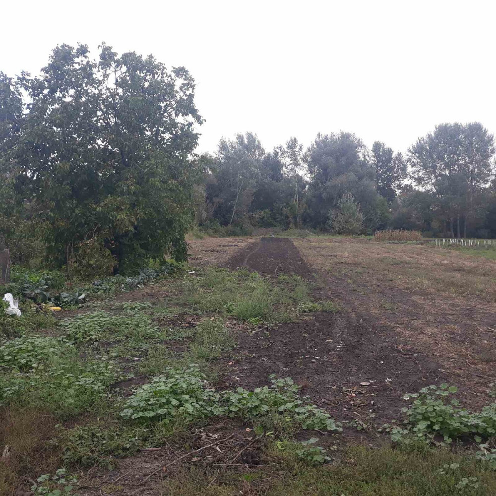 Продаж Будинок на улица Луговая, д. Петрівка (Щорський район) - фото 7