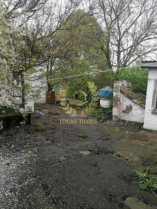 Продаж 1 поверхового будинку с. Устимівка Ustymivka - photo 8