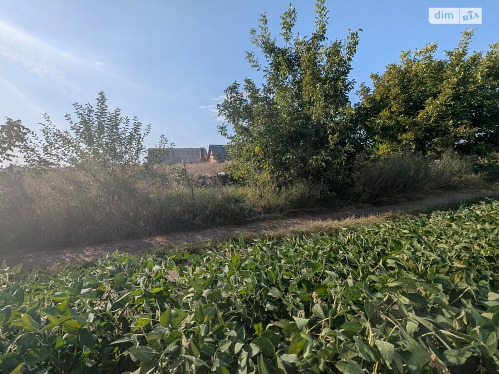 Продаж земельної ділянки 8 соток на 3-й пров. Східний Вінниця - фото 1