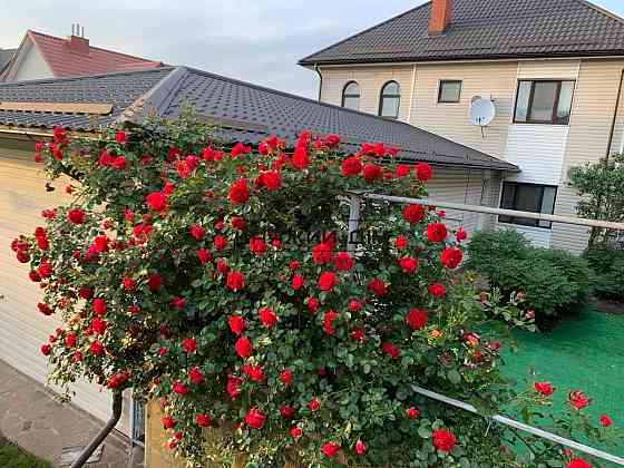 Продаж 2-поверхового будинку в с.Чайка. Безготівковий ТАК!  № 2211780 Чайки (Богуславський район)