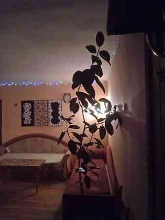 Оренда Квартира 2-кімнатна, 1/3 поверх на бульвар Пєрова, 5 Київ