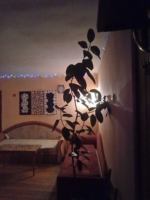 Оренда Квартира 2-кімнатна, 1/3 поверх на бульвар Пєрова, 5 Київ - фото 5