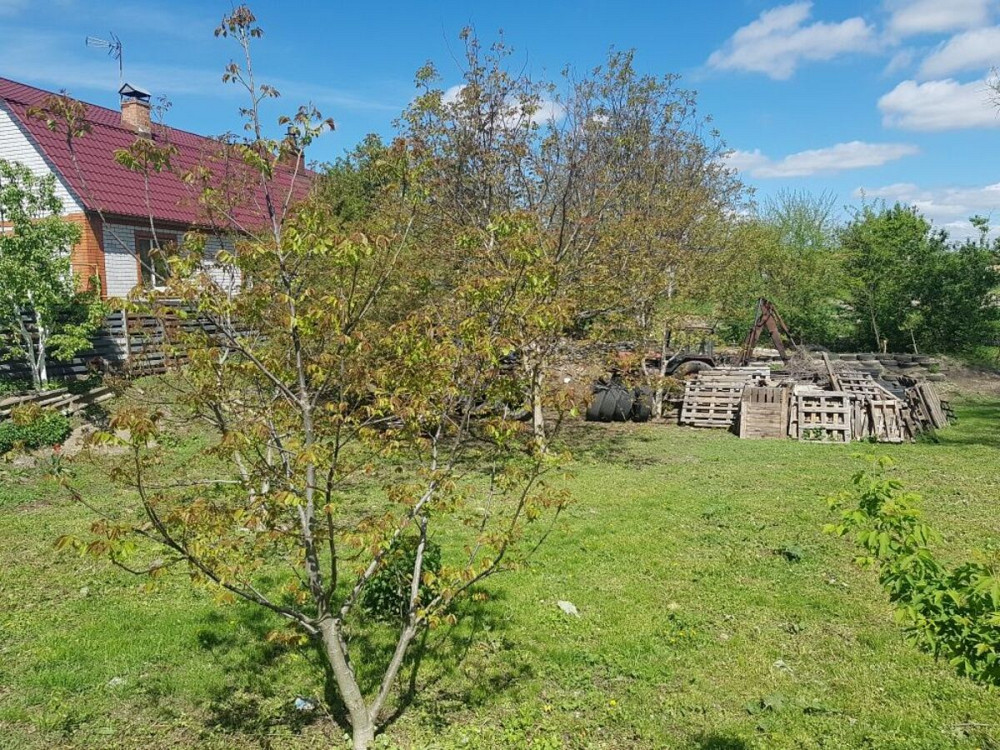 Продаж земельної ділянки 15 соток Кропивницький - фото 6