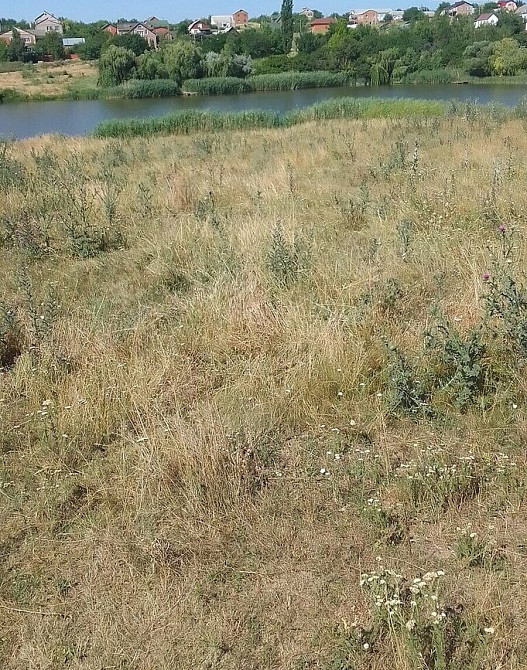 Продаж земельної ділянки 12 соток Бережинка (Кіровоградський район) - фото 8