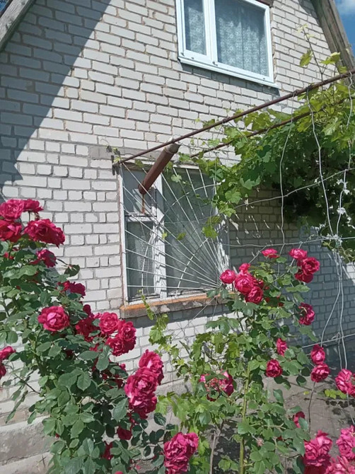 Продам дачу сахаровський міст. Кропивницький - фото 8