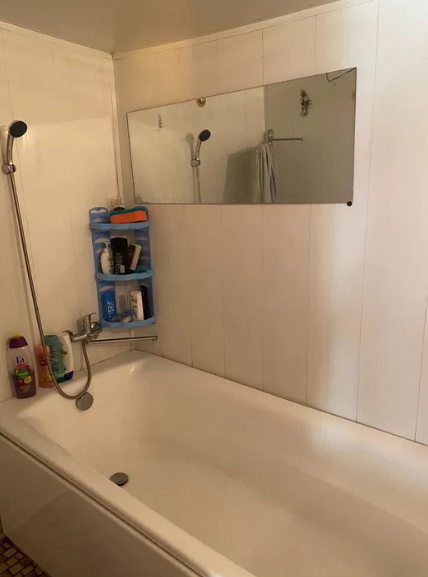 Продам дом с газом и баней в с.Маяки (27 км от Одессы) Маяки (Біляївський район) - фото 17