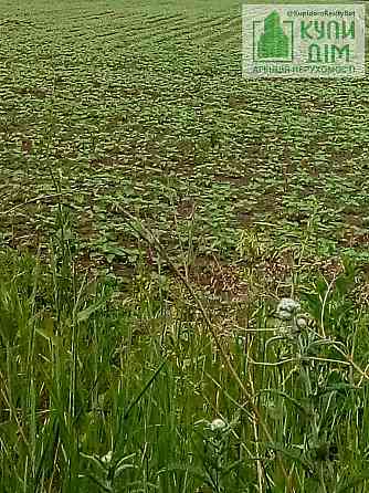 Продаю будинок в селі Пенькіне 