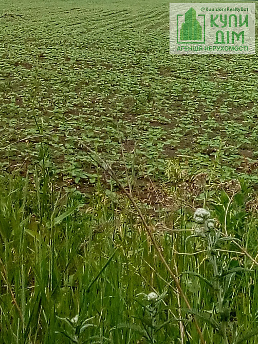 Продаю будинок в селі Пенькіне  - фото 6