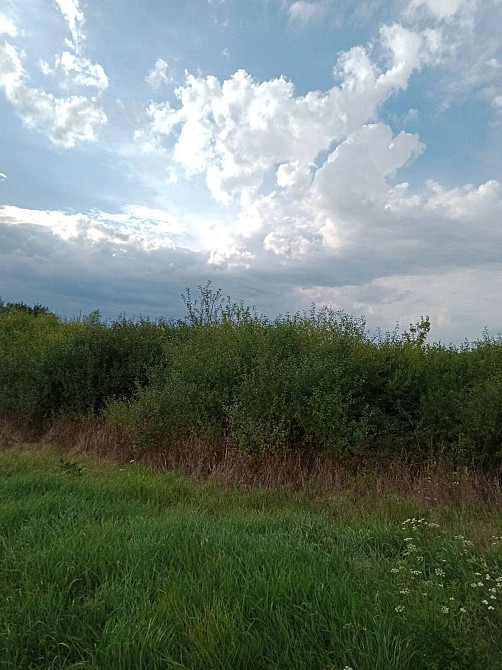 Продаж земельної ділянки 11.33 соток  - photo 3