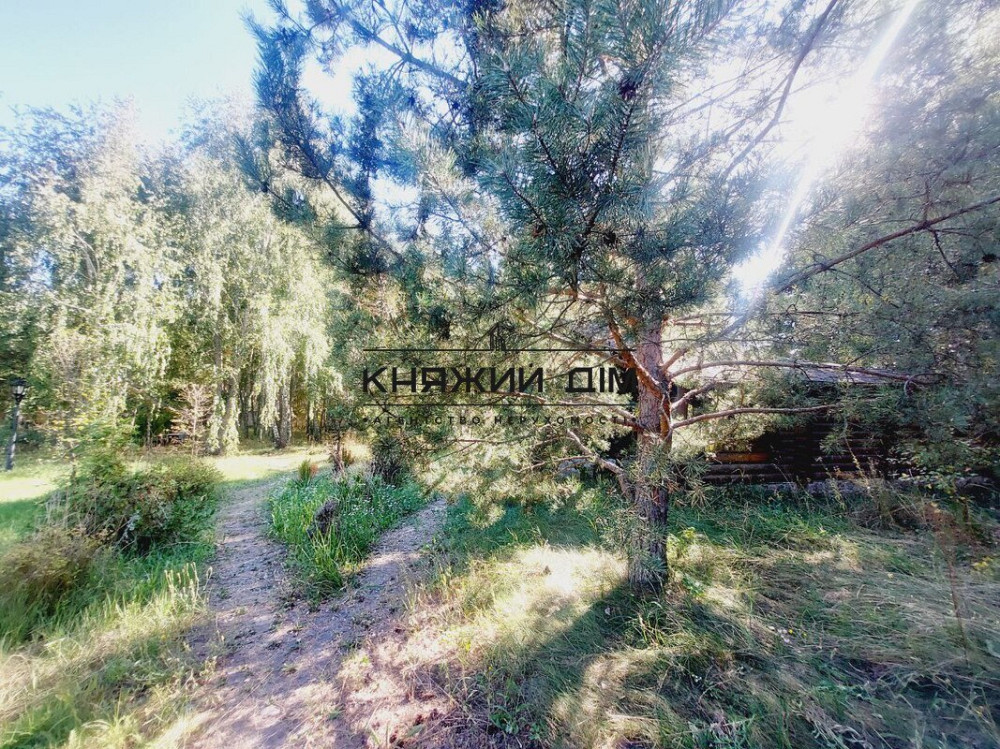 Без комісії .Є Генератор .Оренда, будинок в Колонщині . Код Об'єкта 135973 Колонщина - фото 12