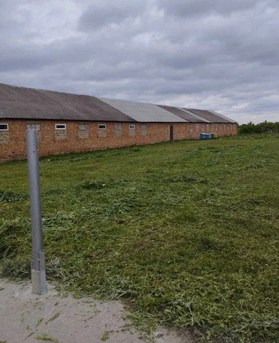 Продаж приміщення вільного призначення на Молодіжна вул., 1а поверх - 1/1 Плоске (Козивський район) - изображение 8