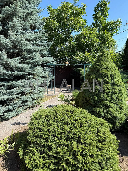 Продаж Будинок 5-кімнатний на Карла Маркса вул., 105 Віта-Поштова - фото 3