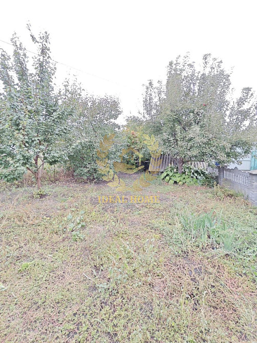 Продаж будинку с. Рокитне Rokitno - photo 14