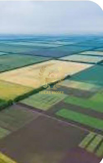 Продаж земельної ділянки 50 соток на Дружбы ул., 1 Lypivka - photo 16