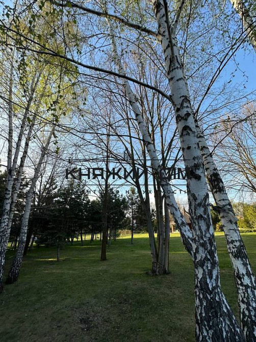 Продаж земельної ділянки 25 соток Ivankovychi - photo 2