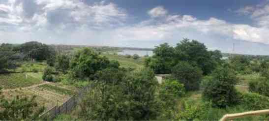 Продам  качественный дом с бизнесом на Сухом Лимане Сухий Лиман