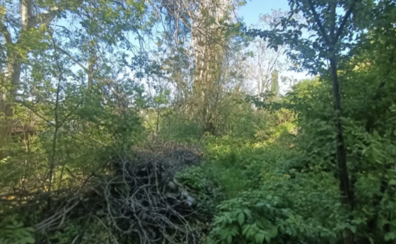 Продам частину будинку в центрі Сободки (вул.Нікітіна) Odessa