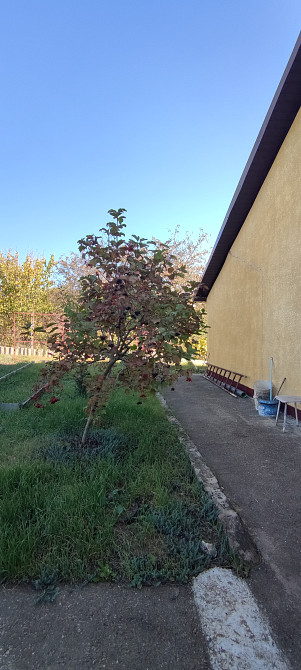 Дом в Холодной Балке Холодна Балка - фото 7