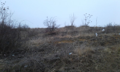 Продаж земельної ділянки 0.2 соток на ул. Курортная, 155 Нерубайське - фото 1