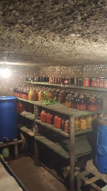 Капитальный дом  в с. Петровка Мала Петрівка - фото 7