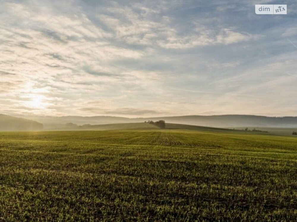 Продаж Будинок Vinnytsya - photo 2
