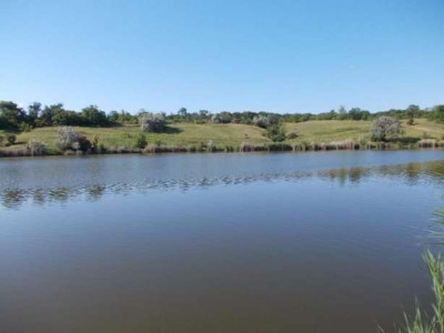 Продаж земельної ділянки 6 соток на ул. Виноградна, 34 Молодіжне - фото 19