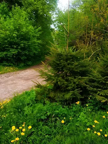 Продаж земельної ділянки  площа 10 сот Дружби вулиця  - фото 4