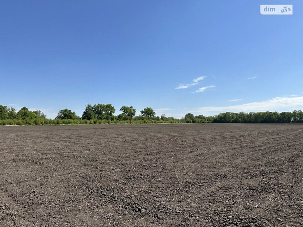 Продаж земельної ділянки 1.4 га Vinnytsya - photo 2