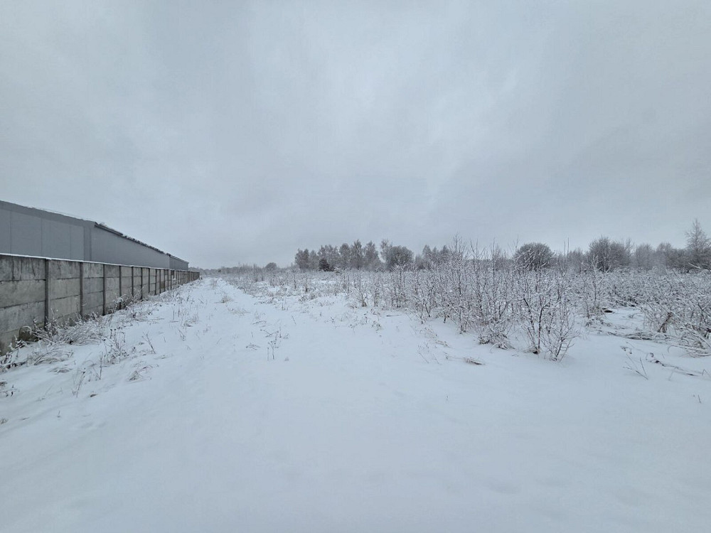 Продаж земельної ділянки 51 соток Крихівці - фото 4