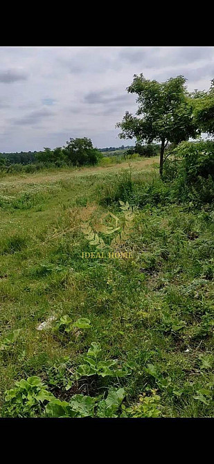 Продаж земельної ділянки 45 соток на Леси Украинки ул., 24  - фото 2