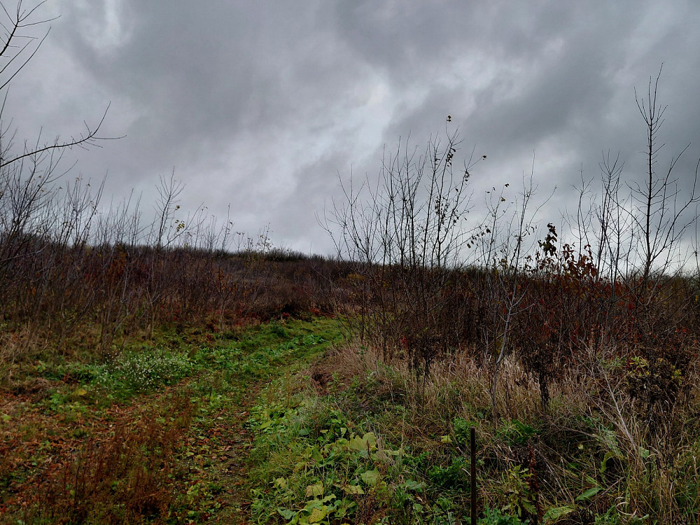 Продаж земельної ділянки 6 соток на вул. Микулинецька Тернопіль - фото 2