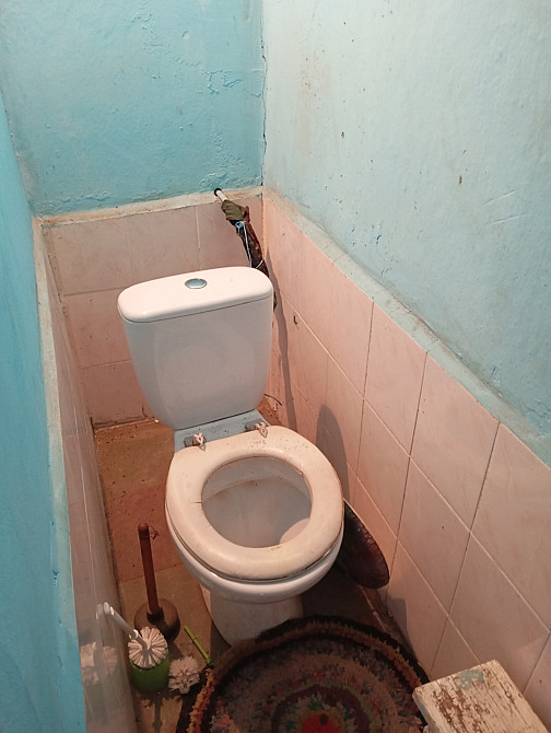 Продам дом в с.Новосельцы (Раздельнянский р-н, 40 км. от Одессы) Новосільці - фото 13