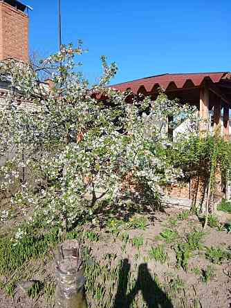 Продаж Будинок на Шевченка 