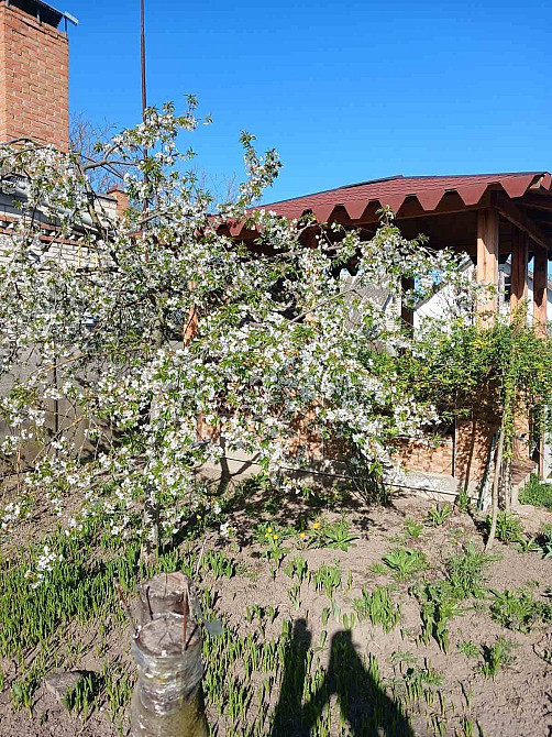 Продаж Будинок на Шевченка  - фото 3