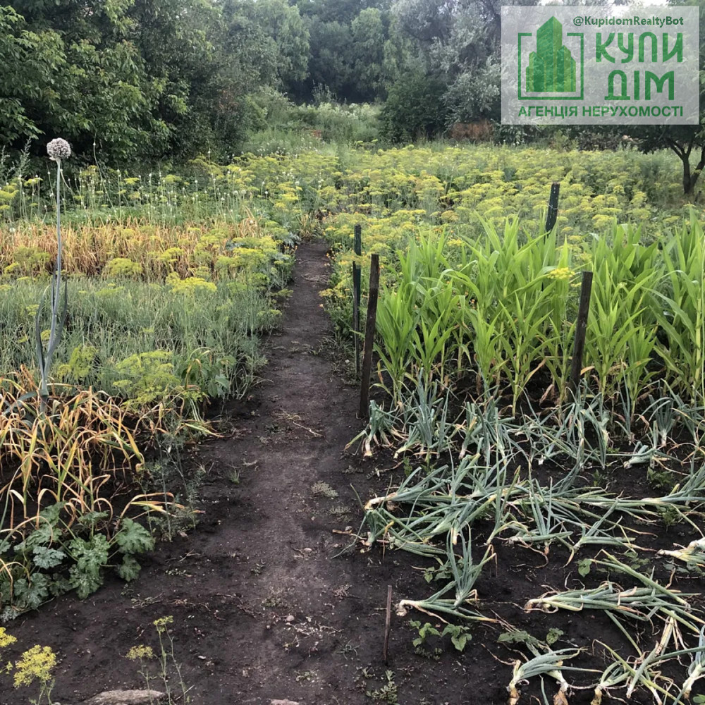 Продаж земельної ділянки 12 соток на АН Купи Дім Кропивницький - фото 2