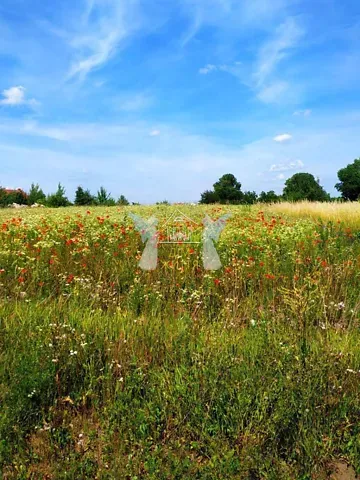 Продажа земельного участка  площадь 9.72 сот Богата вулиця  - изображение 6