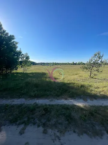 Продаж земельної ділянки Для будівництва приватного житлового будинку площа 26 сот с.Кульчин Луцьк - фото 1