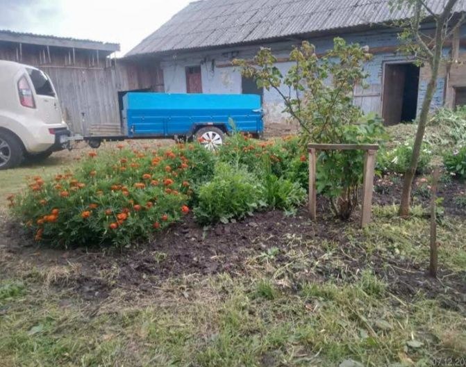 Продаж Будинок 2-кімнатний Бобрка - изображение 4