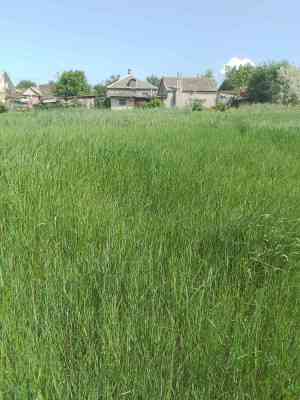 Продаж земельної ділянки 0.1 соток на ул. Ломоносова, 23б Нерубайське