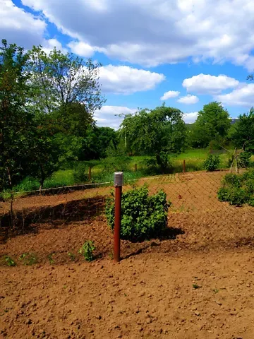 Продаж земельної ділянки  площа 6 сот Глибока Долина вулиця Тернопіль - фото 10